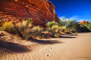 Valley of Fire-3830